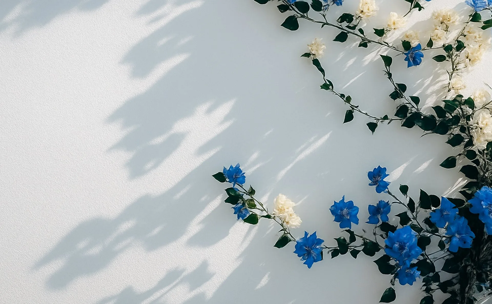 About Lapiz Blue As a Team