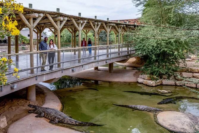 Crocodile Park entertainment venue with self-leveling flooring