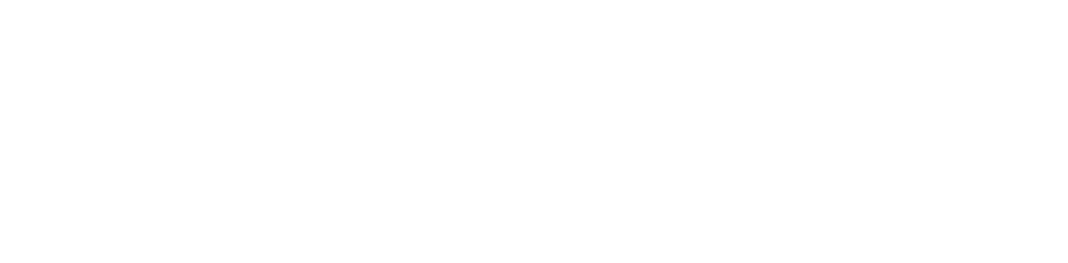 lapizblue logo
